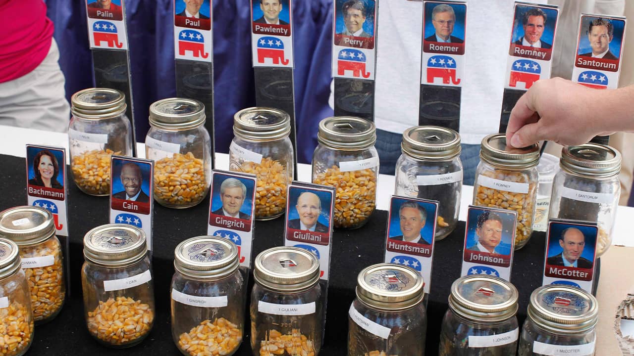 Photo of corn kernel voting 