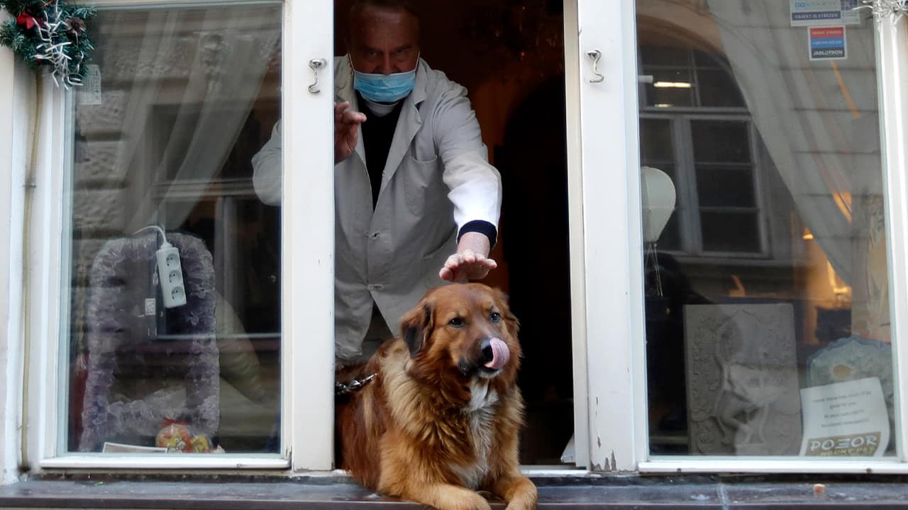 Photo of a dog n a window in Prague