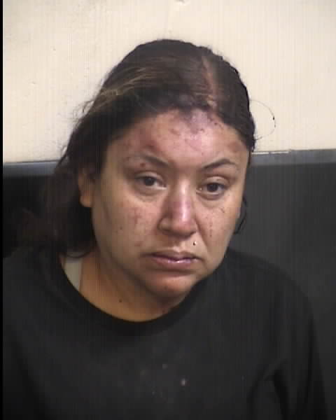 Michelle Antoinette Vega booking photo