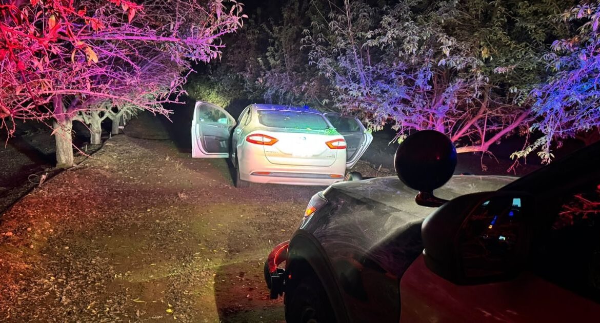 A Madera woman was arrested for DUI after crashing into an almond orchard, following a hit-and-run earlier that evening. (CHP)