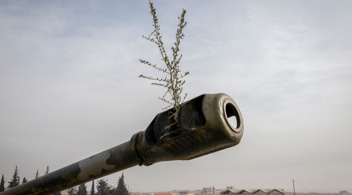 An olive branch left in the barrel of an abandoned Syrian army howitzer on the outskirts of Aleppo, on Wednesday, Dec. 11, 2024. (Ivor Prickett/The New York Times)