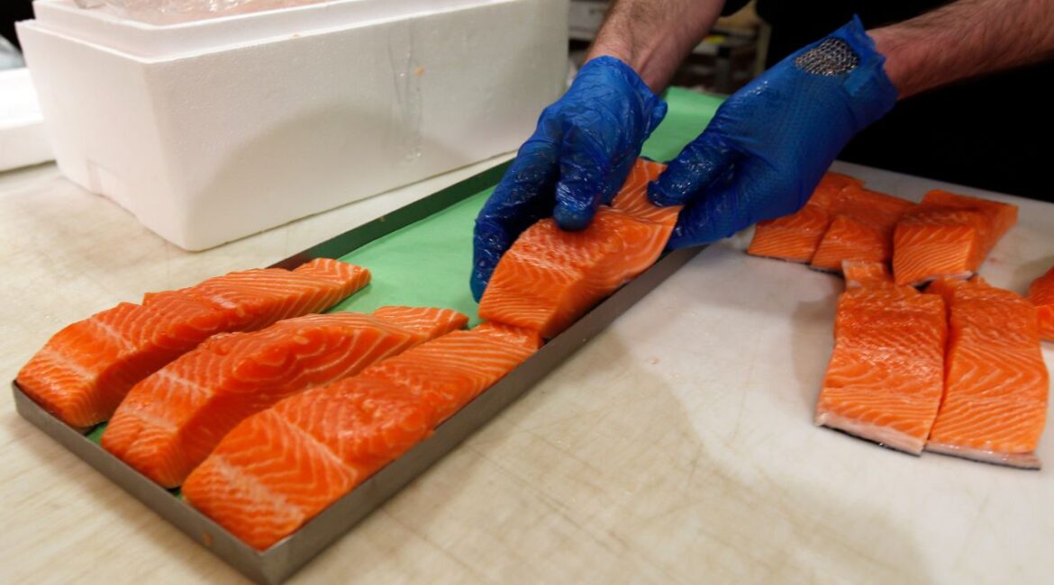 Canadian certified organic farm-raised King Salmon filets are placed on a tray in a store in Fairfax, Va., April 10, 2015. (AP Photo/Alex Brandon)