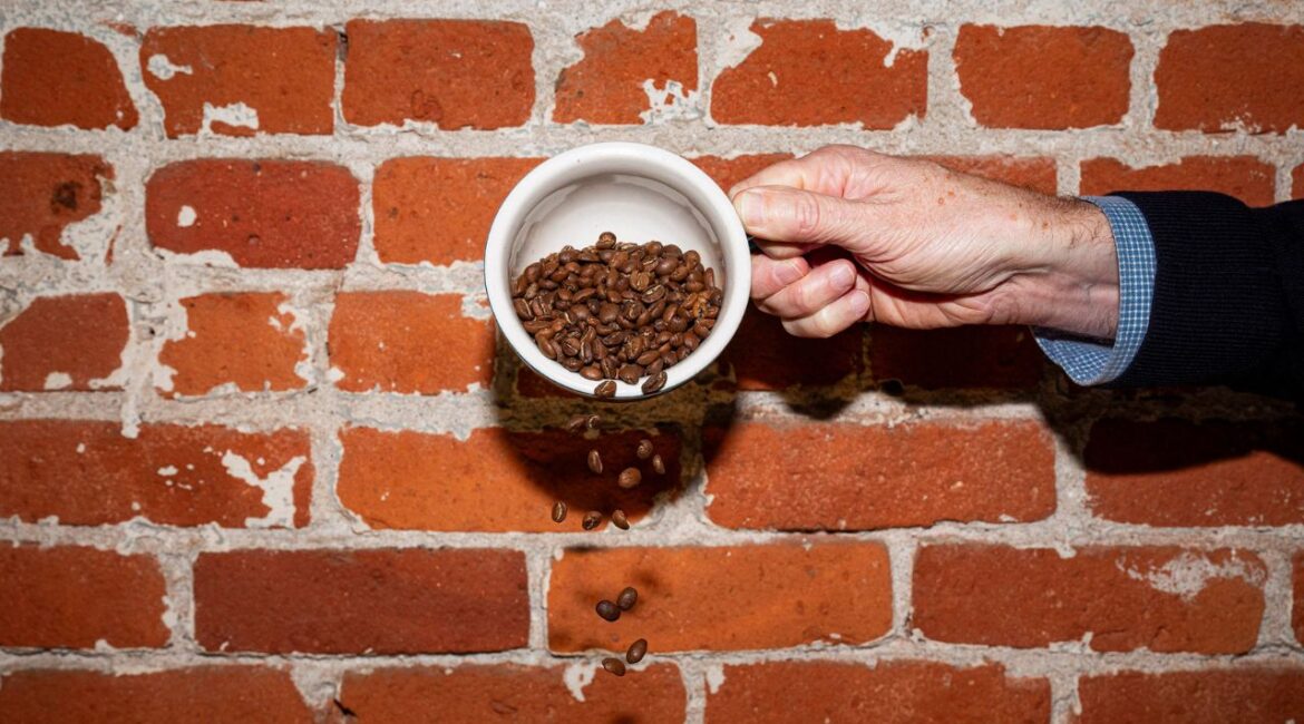 Thaleon Tremain, chief executive of Pachamama Coffee, holds a cup of coffee beans in Sacramento, Calif., on Feb. 27, 2024. Wholesale coffee prices are trading near a 50-year high because of shortages related to extreme weather and increased global demand. (Taylor Johnson/The New York Times)