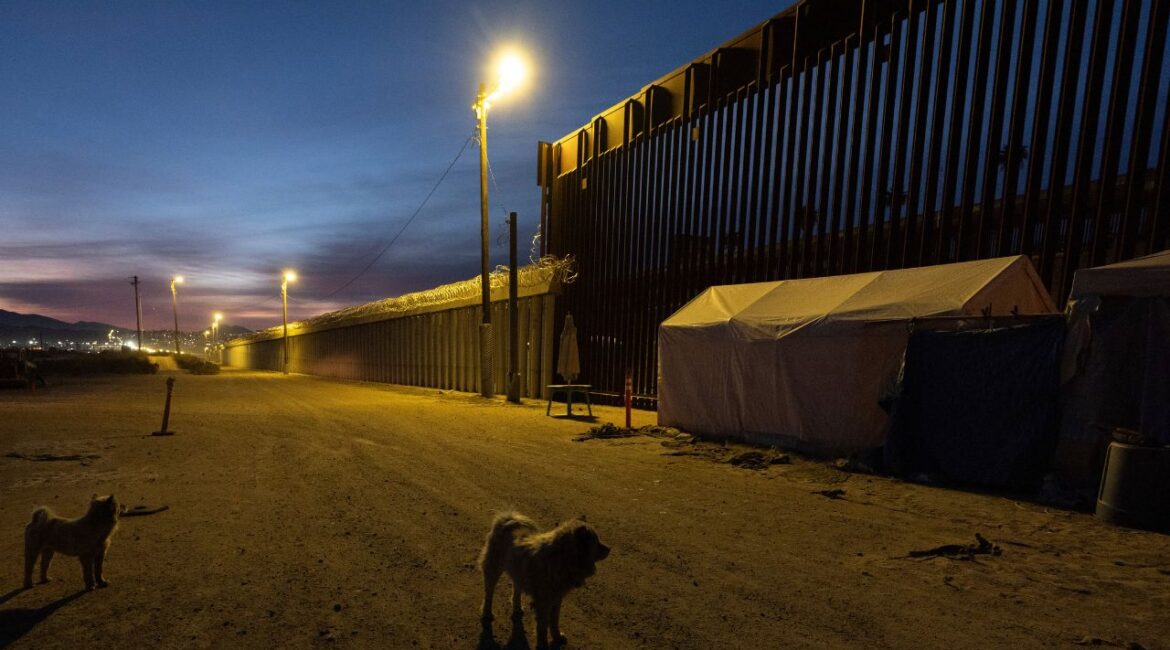 Dogs are near a border wall separating Mexico from the United States Wednesday, Jan. 22, 2025, in San Diego. (AP/Gregory Bull)