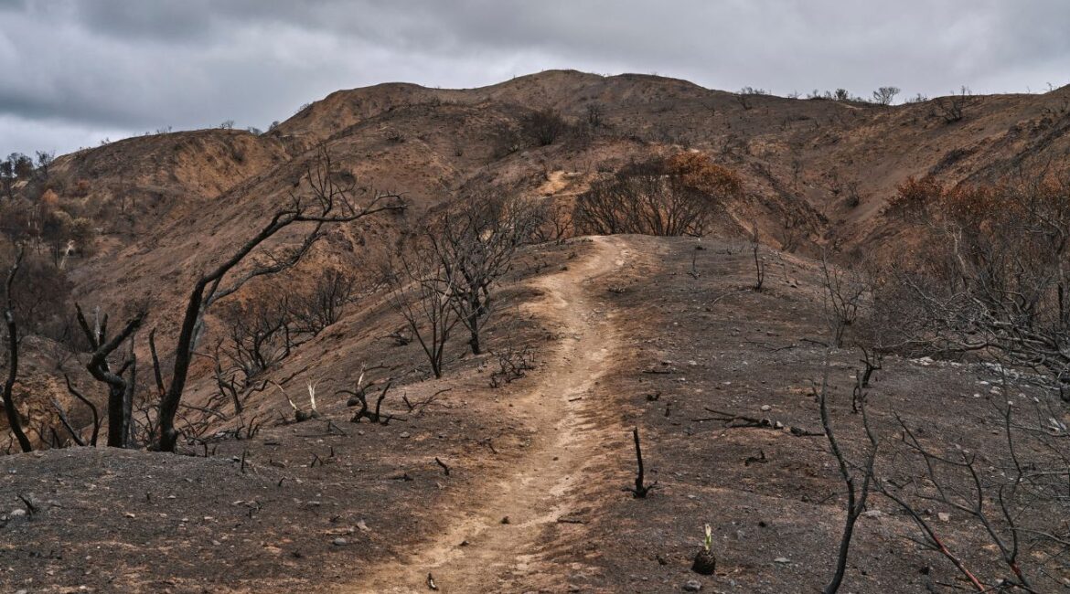 A burned trail at Topanga State Park due to the Palisades fire in Pacific Palisades, Calif., Jan. 25, 2025. An atmospheric river of moisture winter storm is expected to bring much-needed rain and snow to Central and Southern California this week, but also a risk of flash flooding and mudslides, especially in San Luis Obispo and Santa Barbara Counties and areas of Los Angeles County that were burned by wildfires last month. (Philip Cheung/The New York Times)