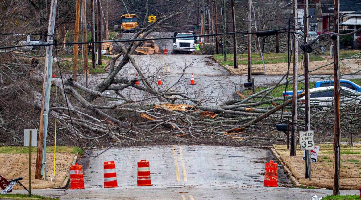 Downed trees cover the roadway toward South Jefferson Street from severe weather in downtown Tuscumbia, Ala., Sunday, Feb. 16, 2025.(Dan Busey/The TimesDaily via AP)