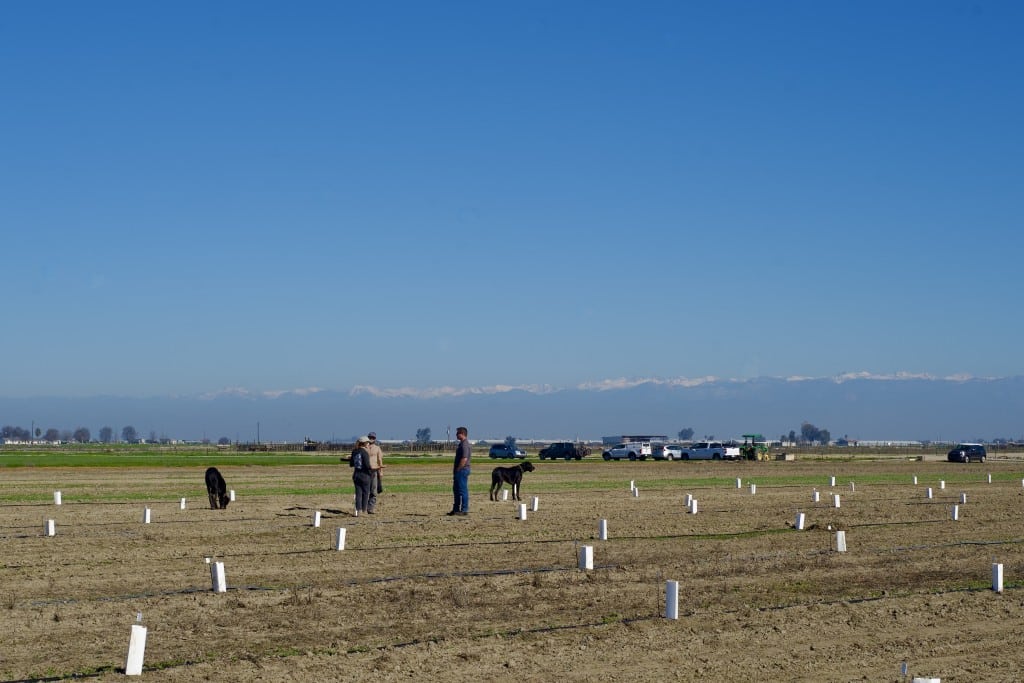 Tule Basin Land & Water Conservation Trust