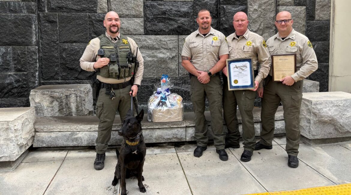 The Madera County Board of Supervisors honored K-9 Obie with a historic proclamation and Purple Heart for his heroic actions in a November 2024 pursuit, where he was injured while protecting deputies. (Madera County)