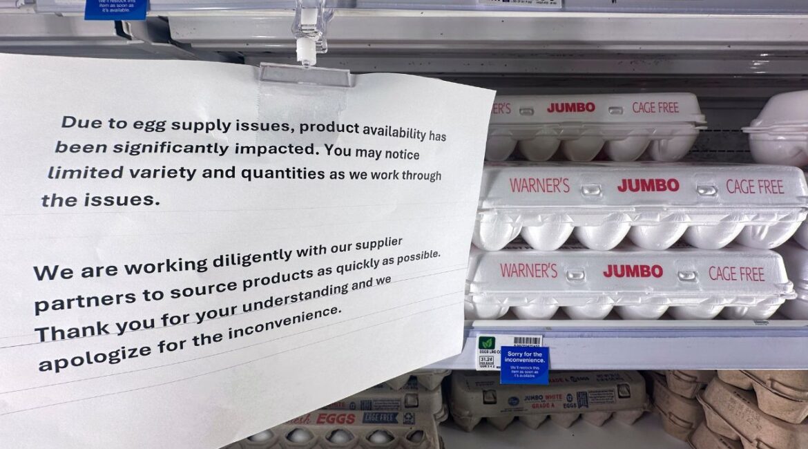 A sign is shown with egg cartons for sale at a grocery store Friday, Feb. 14, 2025 in Grosse Pointe Woods, Mich. (AP/Paul Sancya)