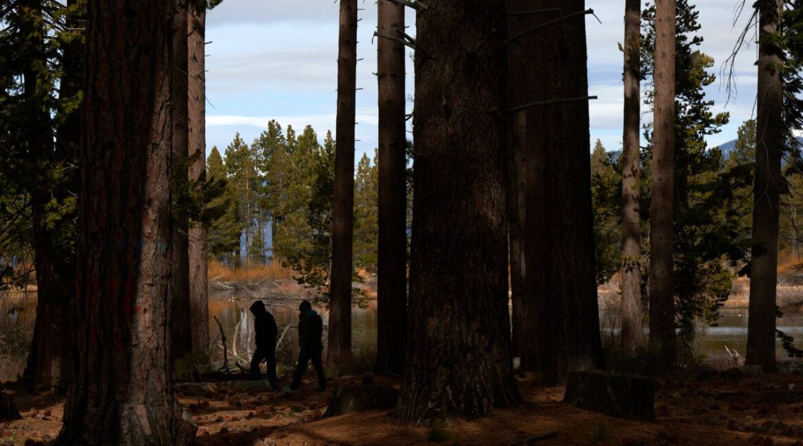 Hikers seen along a trail on Forest Service land in South Lake Tahoe, Calif., March 4, 2025. A government spreadsheet lists thousands of campsites and trails that could shutter for the summer because of federal government staff reductions and budget freezes. (Bridget Bennett/The New York Times)