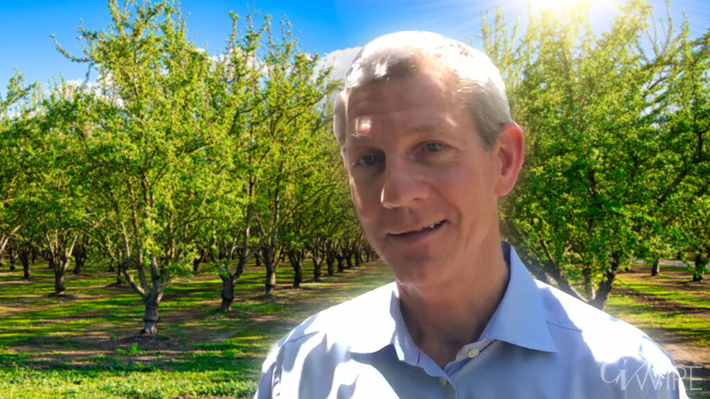 Image of Kings County almond grower John Vidovich in a blue shirt standing near an orchard
