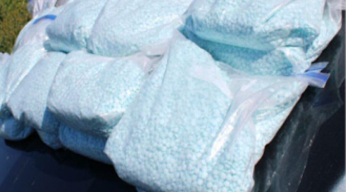Miguel Obed Romero Reyes, 25, of Sinaloa, Mexico, pleaded guilty Monday, March 31, 2025, to trafficking more than 200,000 fentanyl pills after authorities seized the drugs during a traffic stop on Interstate 5. (DOJ)