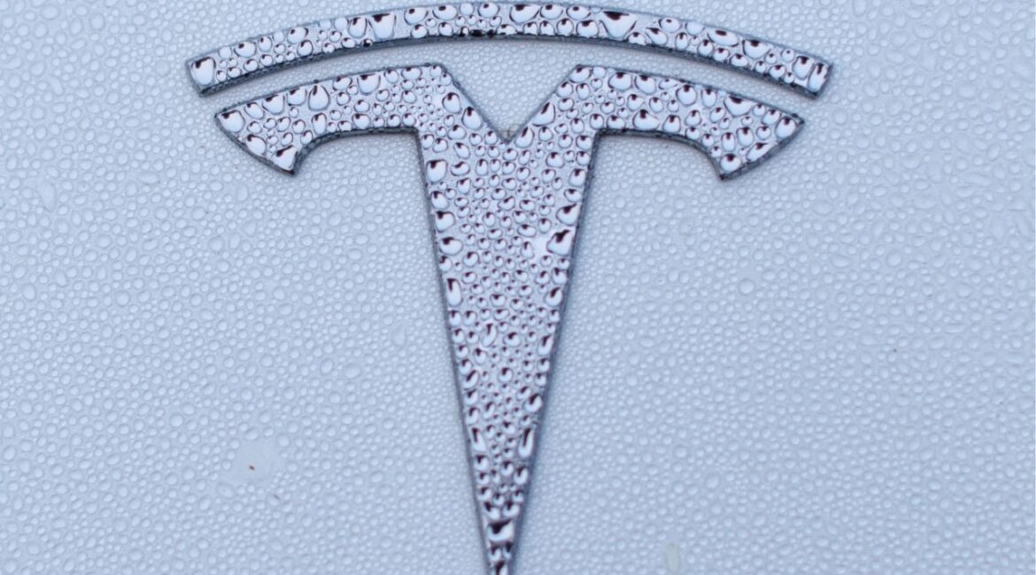 A Tesla logo is shown on a Model Y vehicle in Encinitas, California, U.S.,October 20, 2023. (REUTERS/Mike Blake)