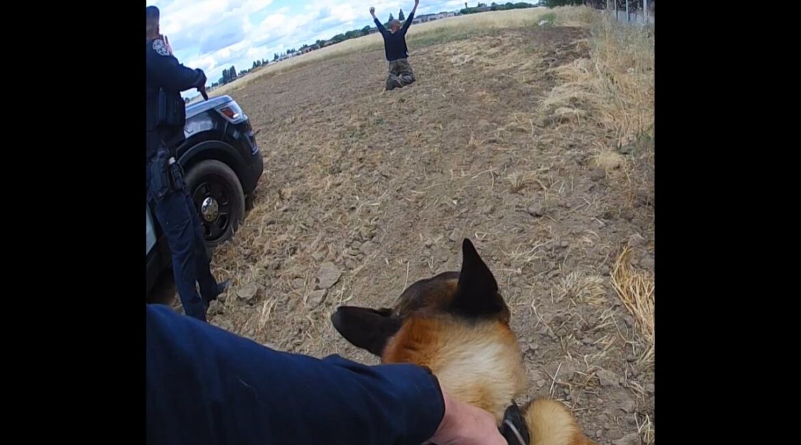 Madera police arrested Huber Silva, 32, of Madera, on Sunday, April 27, 2025, on felony robbery and drug charges Sunday after he was located near E. Dunham Avenue with the help of a witness and K-9 Goose. (Madera PD)