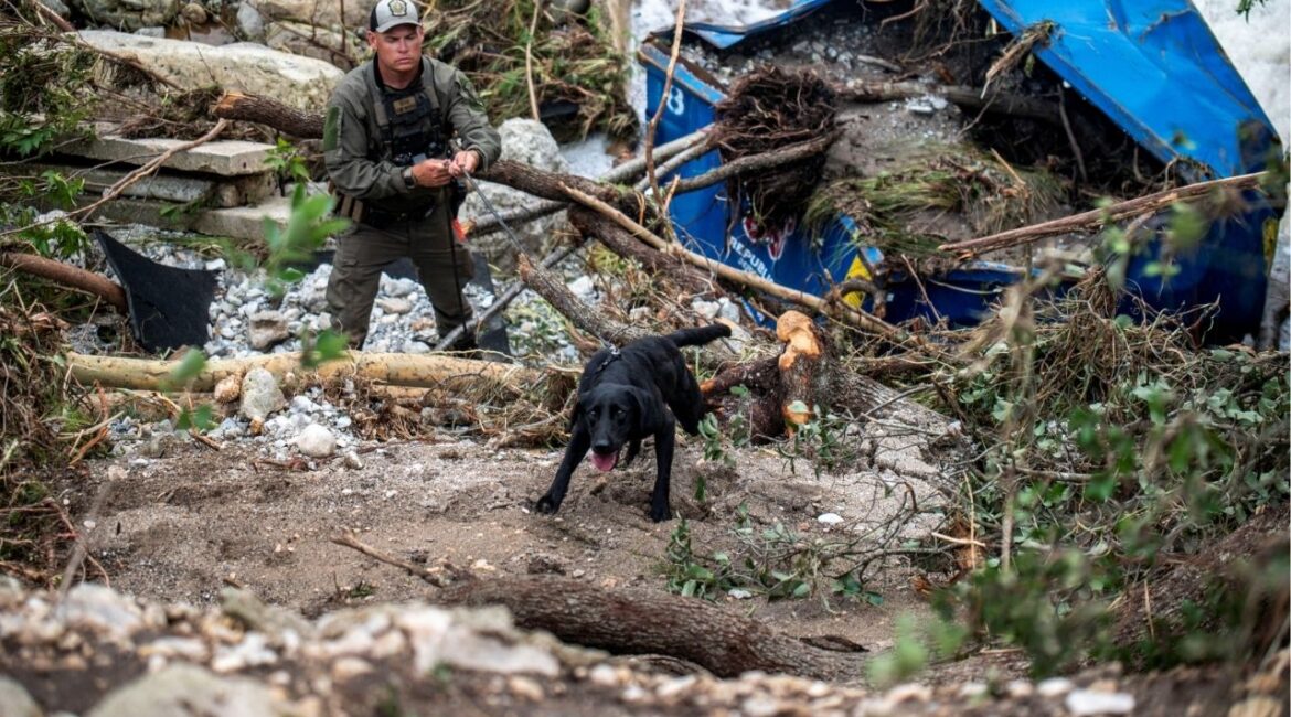 A search dog operates at Camp Mystic after deadly flooding in Kerr County, Texas, U.S., July 5, 2025. (Reuters/Sergio Flores)