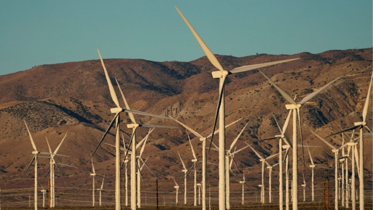 A wind farm is shown in Movave, California, U.S., November 8, 2019. (Reuter File)