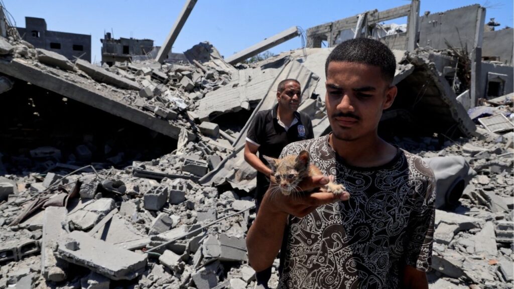 A Palestinian holds a cat as he inspects houses destroyed during an Israeli military operation, in Deir al-Balah, central Gaza Strip, July 23, 2025. (Reuters File)