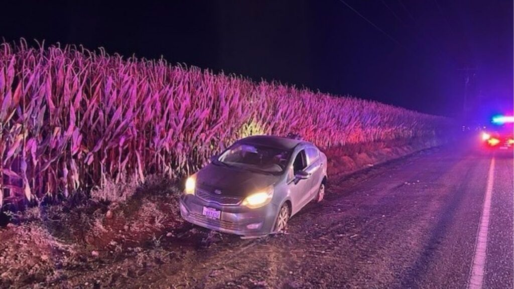 Visalia police arrested a 20-year-old man with multiple felony warrants early Saturday after he fled a DUI traffic stop, leading officers on a pursuit into Tulare County that ended with spike strips and a CHP PIT maneuver. (Visalia PD)