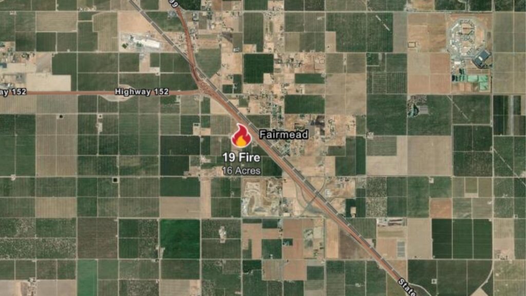 A wildfire in Madera County, dubbed the 19 Fire, has burned 16 acres with 0% containment as of Tuesday, July 29, 2025, afternoon, according to CalFire. (CalFire)