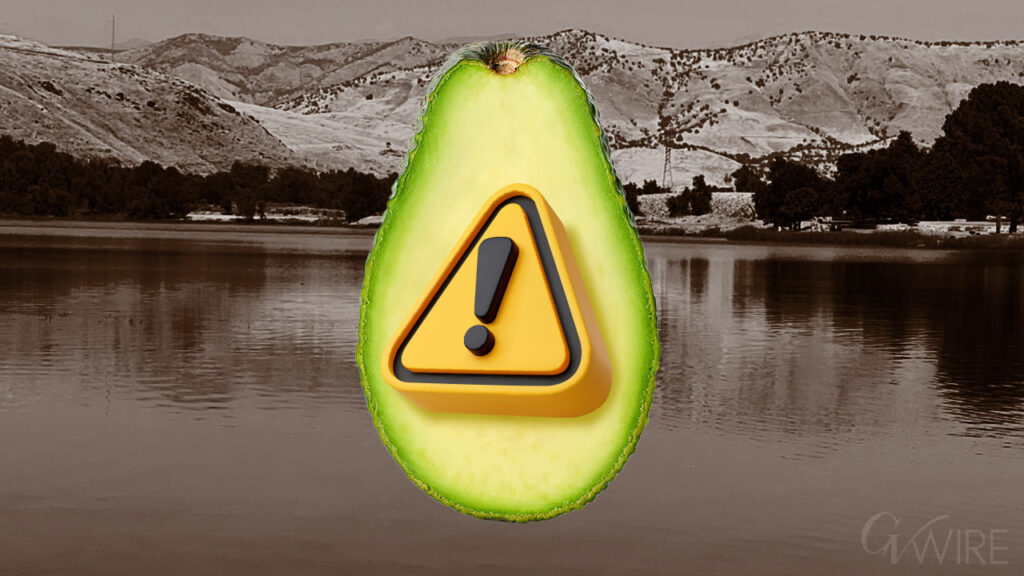 E. coli identified at avocado lake