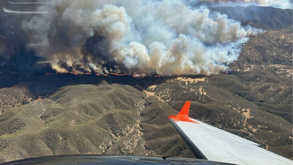 The Gifford Fire, now California’s largest wildfire of 2025 at 83,933 acres with 9% containment, has prompted widespread evacuation orders and warnings across San Luis Obispo and Santa Barbara counties, along with road closures and emergency shelter services. (U.S. Forest Service)