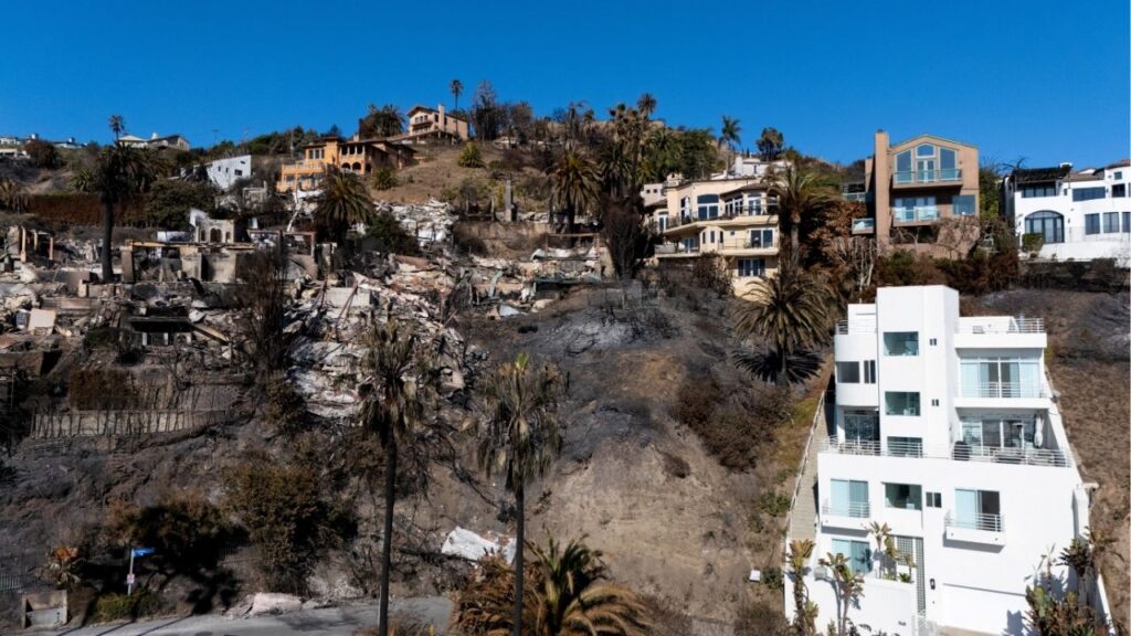 A drone view shows a site with houses that burnt down in the Palisades Fire and some that survived, in Malibu, California, U.S., January 16, 2025. (Reuters File)