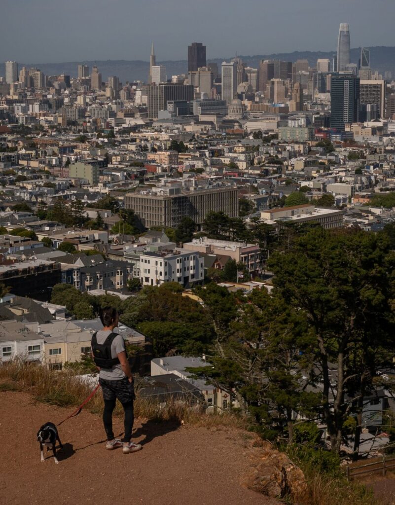 Park Overlooking San Francisco