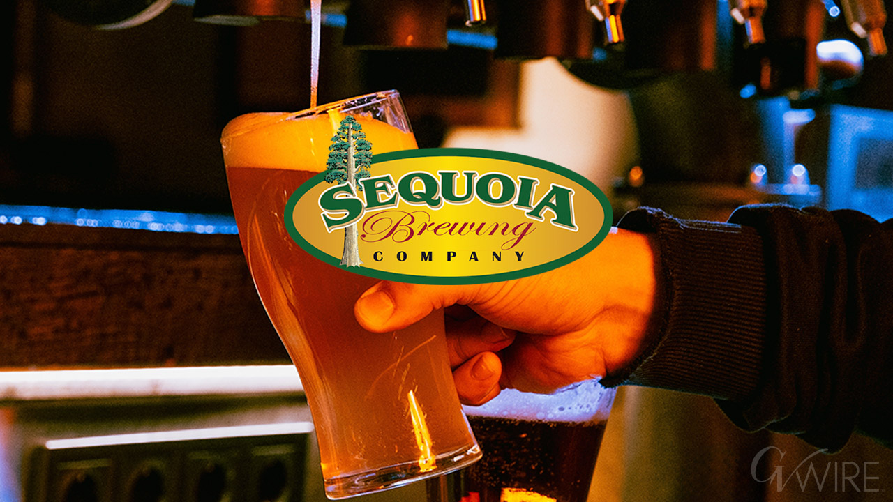 Sequoia Brewing Co beer pour